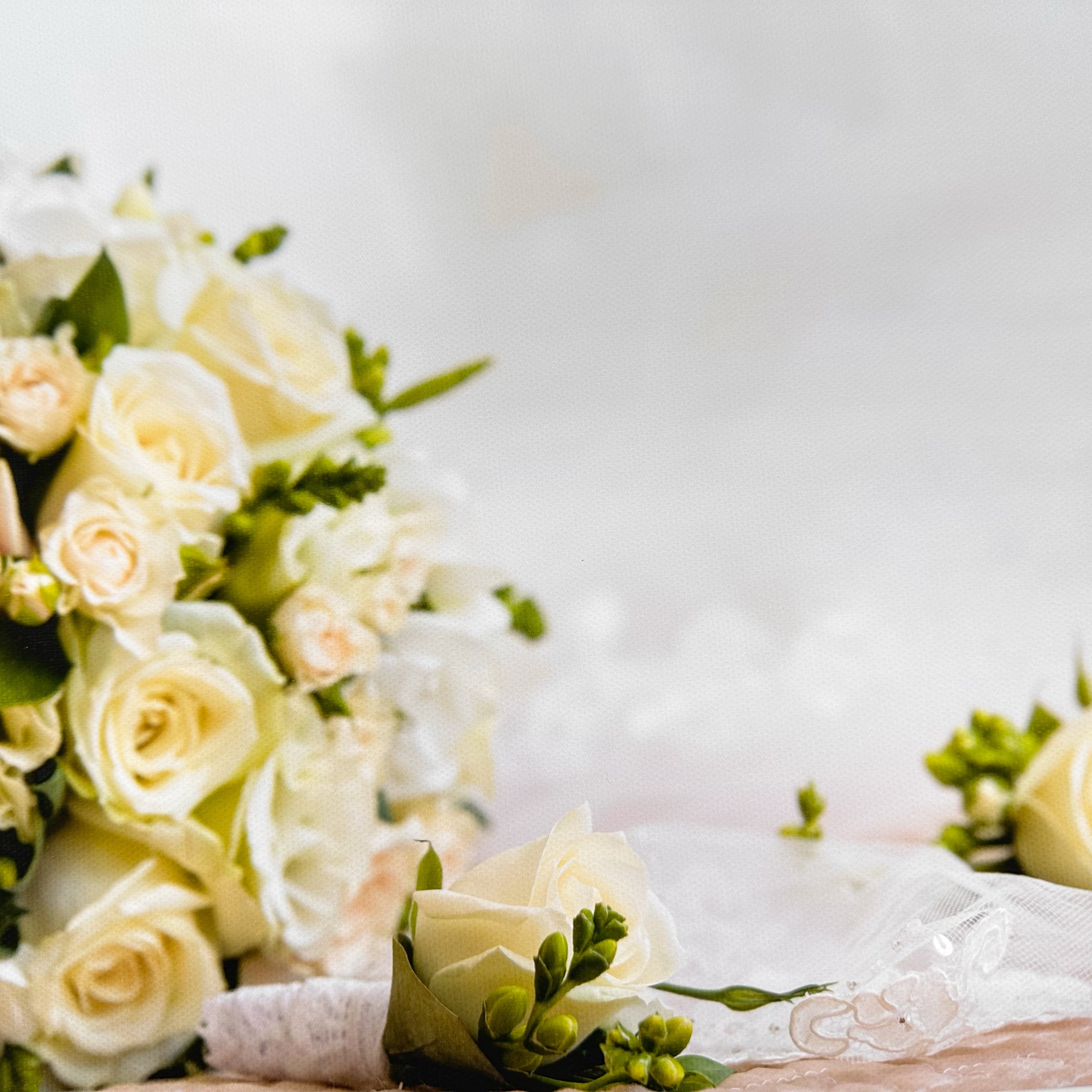 Wedding White Roses Canvas Photography Background