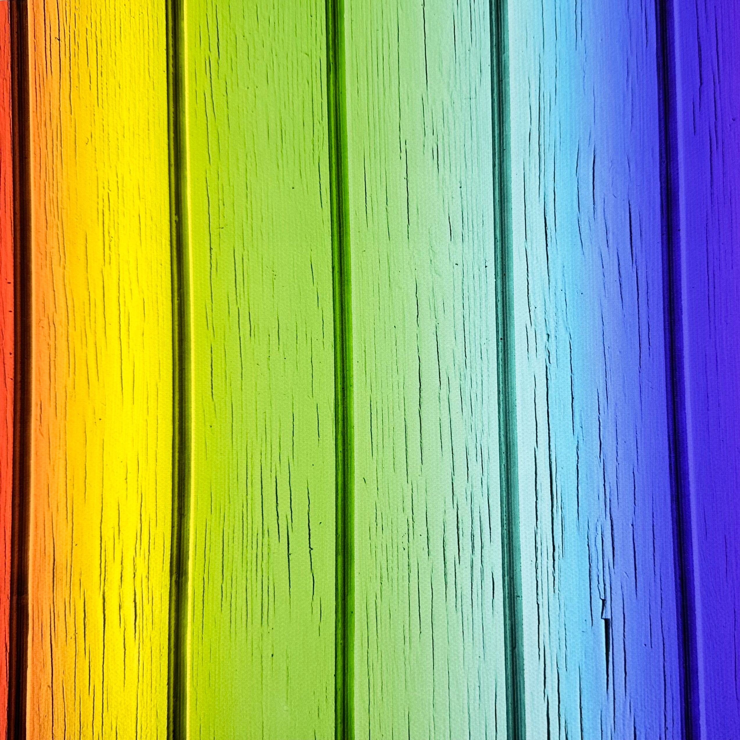 Bright Rainbow Wood Canvas Photography Background