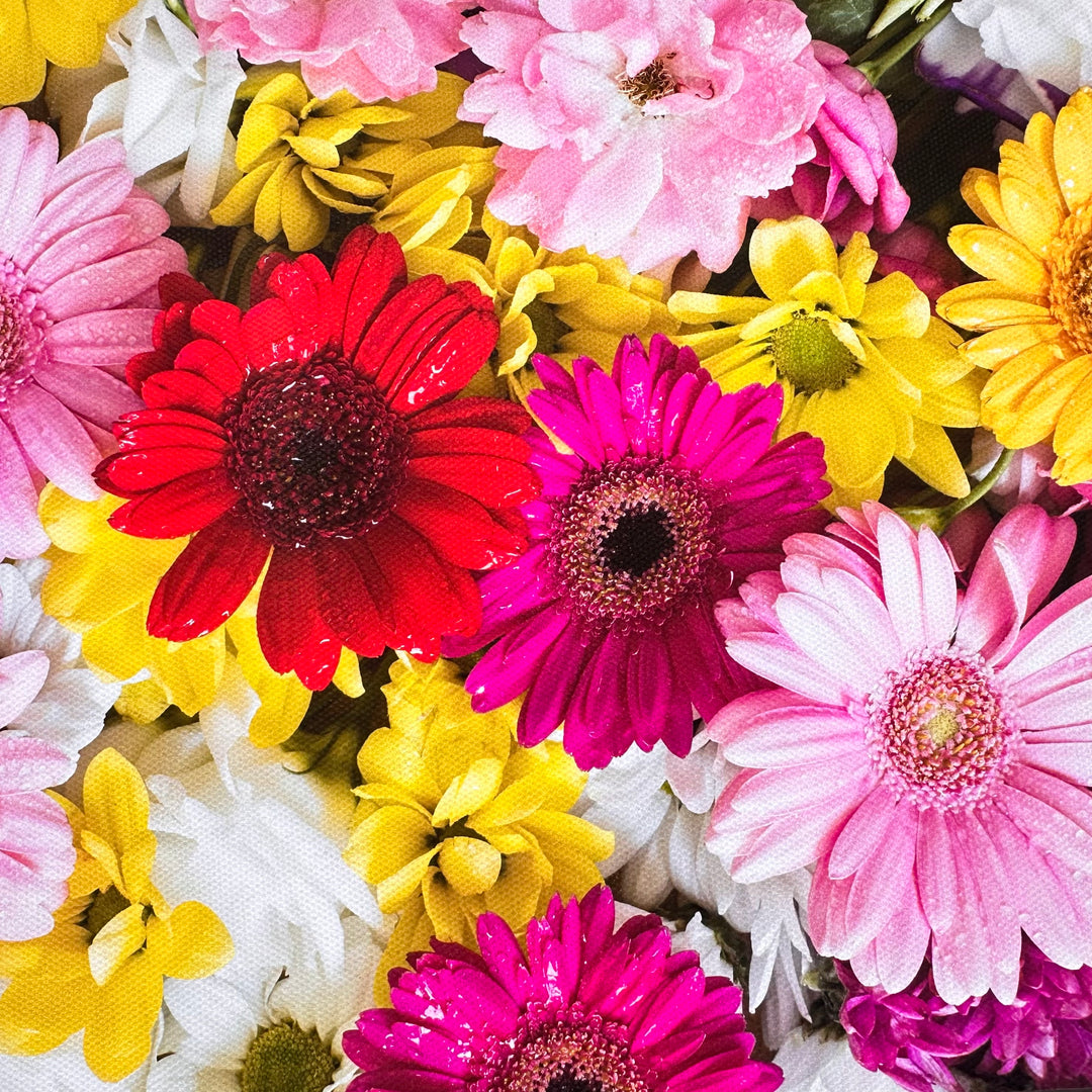 Gerbera Florals Flower Wall Effect Canvas Photography Background