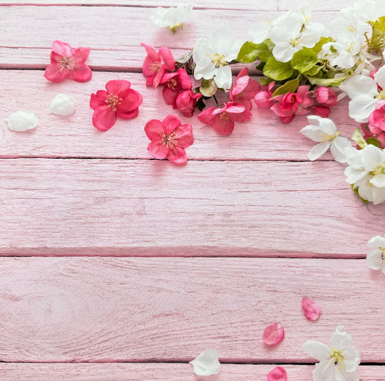 Perfect Pink Blossoms Wooden Effect Canvas Photography Background