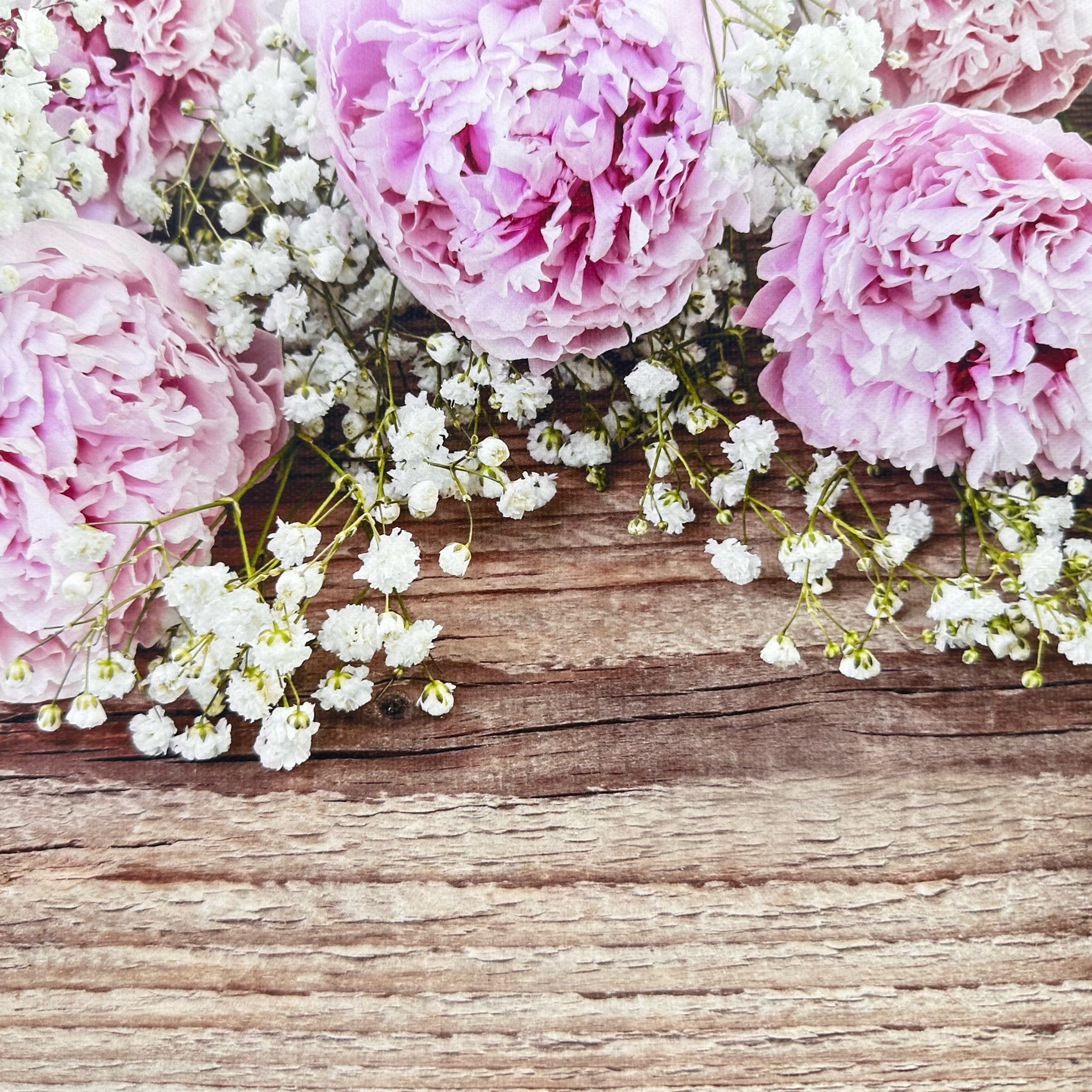 Pink peonies and Gypsophila Floral Canvas Photography Background