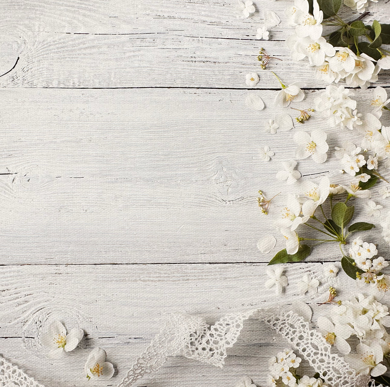 Ribbons & Flowers White Wooden Effect Canvas Photography Background