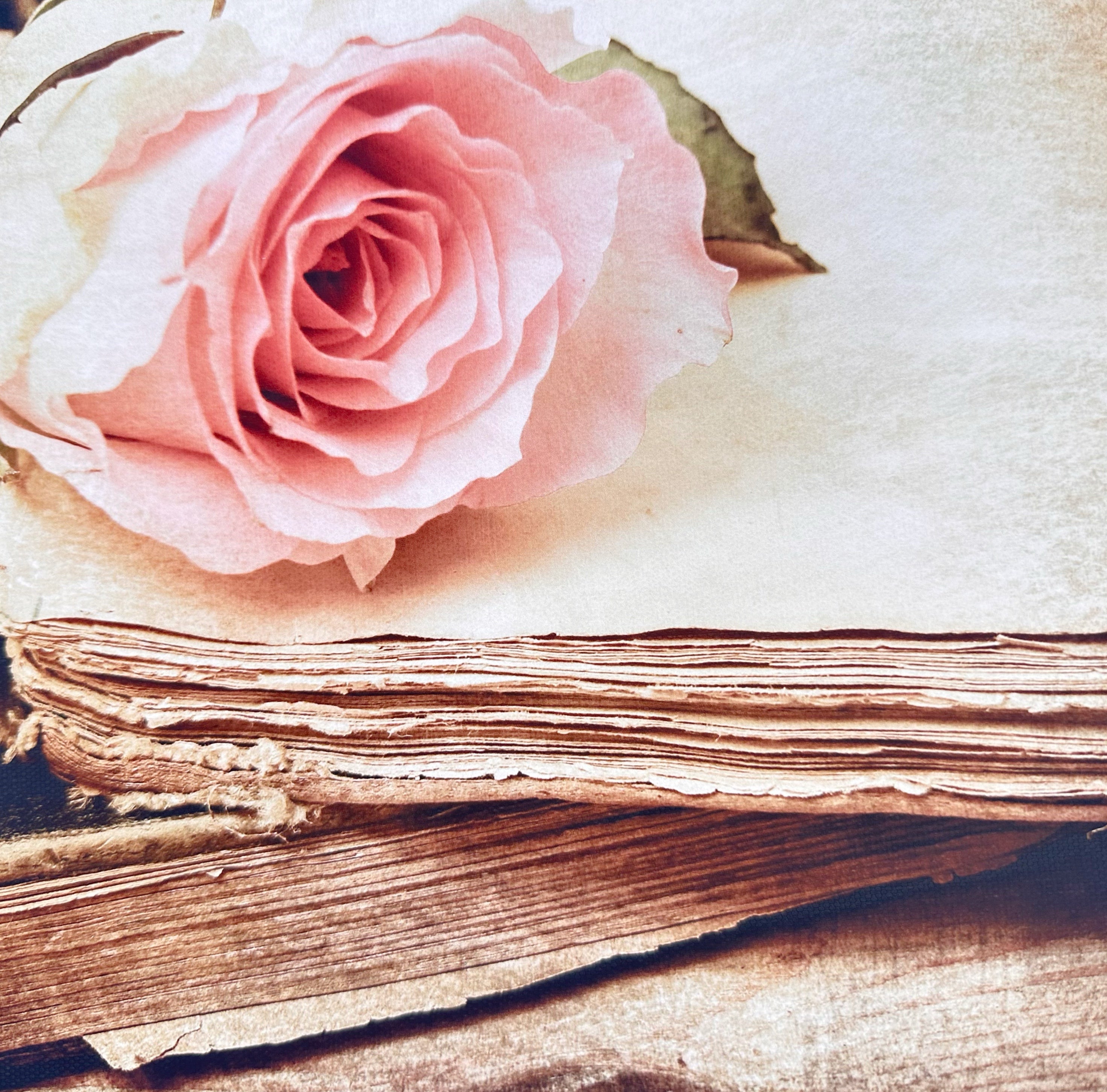 Vintage Rosed Wood Canvas Photography Background