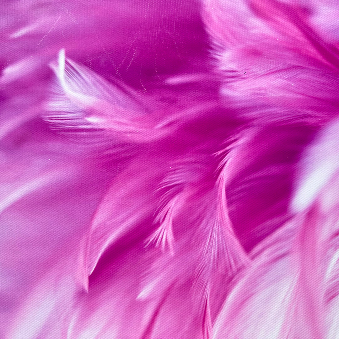 Hot Pink Feathers Canvas Photography Background