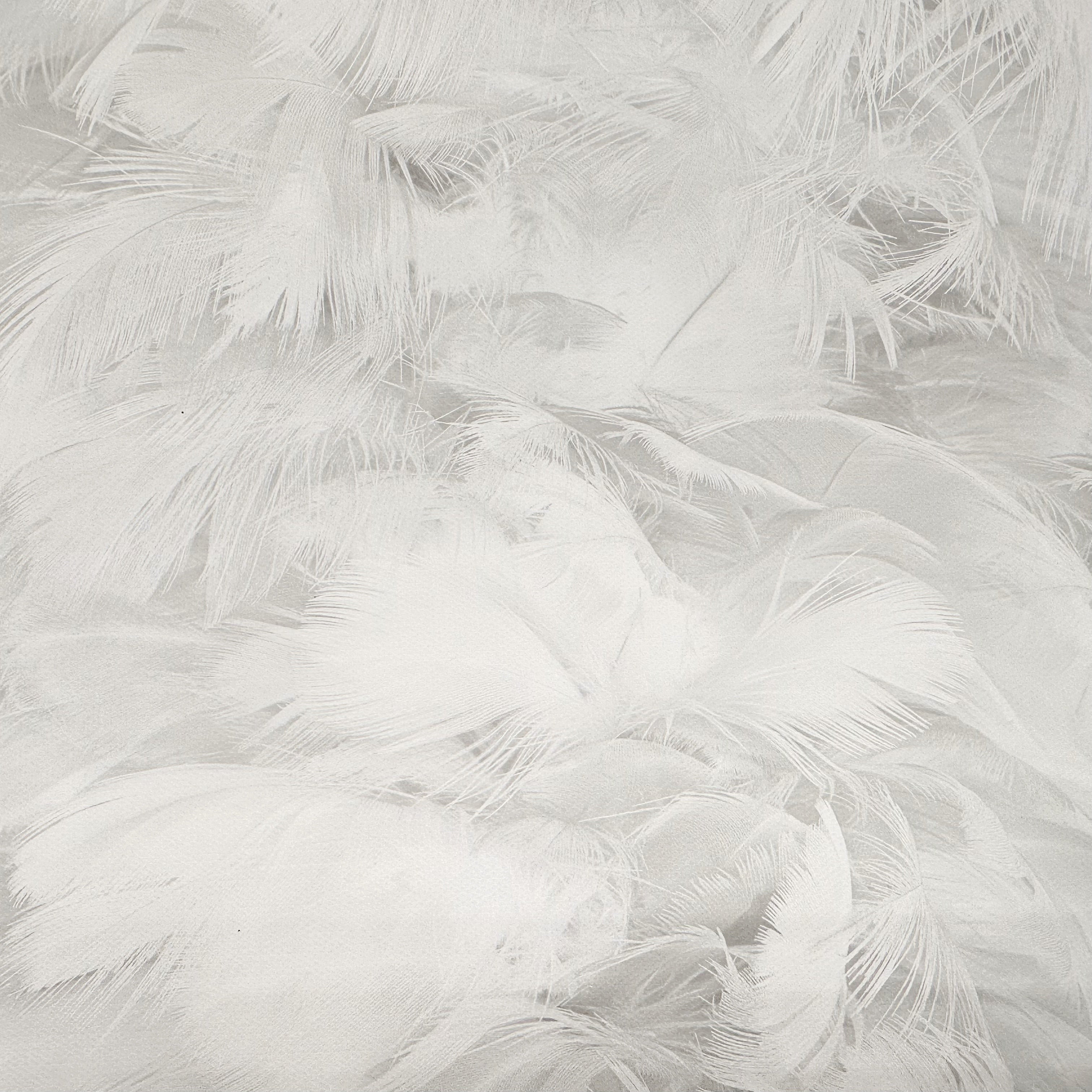 Pure White Feathers Canvas Photography Background