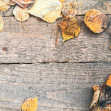 Touch of Autumn Wooden Effect Canvas Photography Background