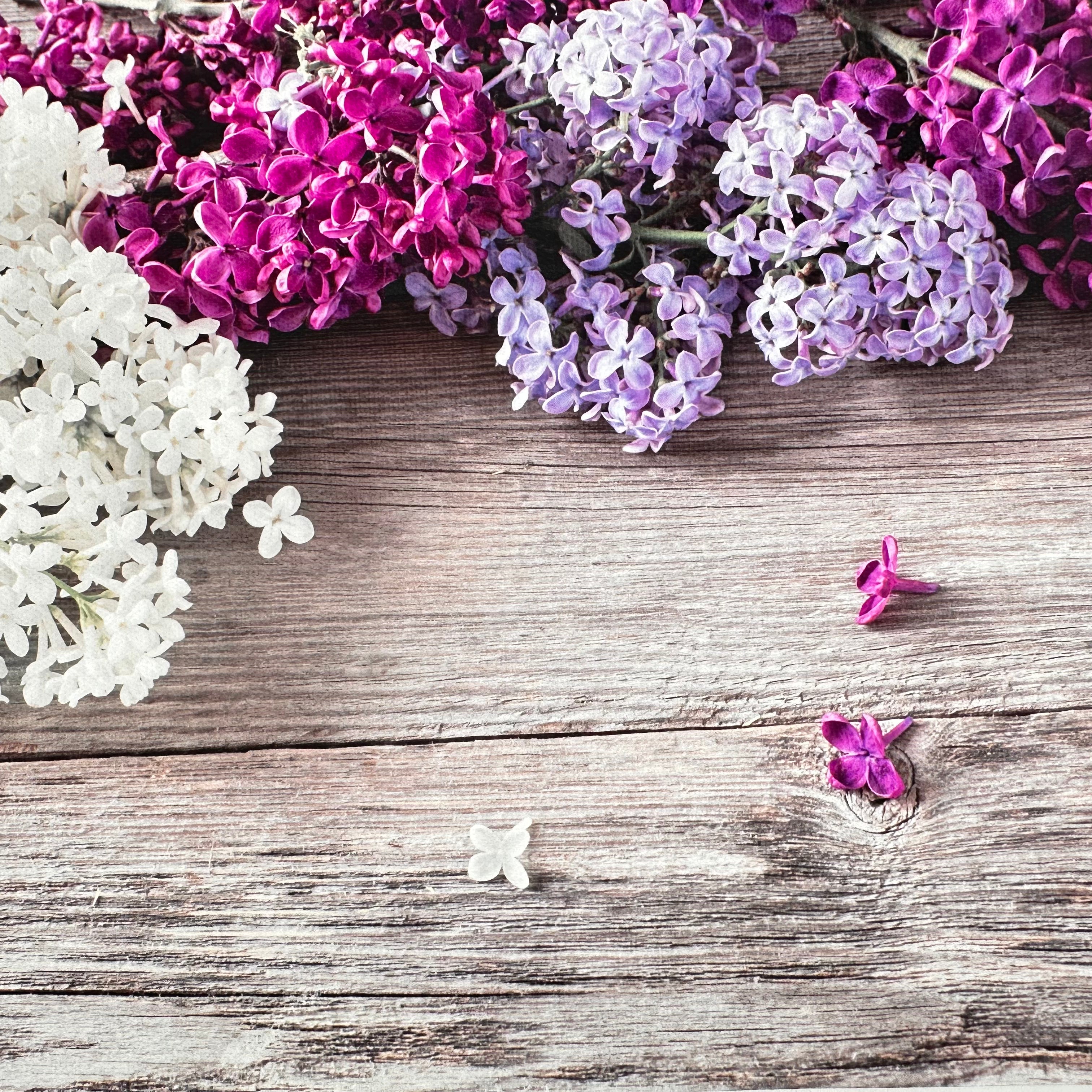 Purple Florals Canvas Photography Background