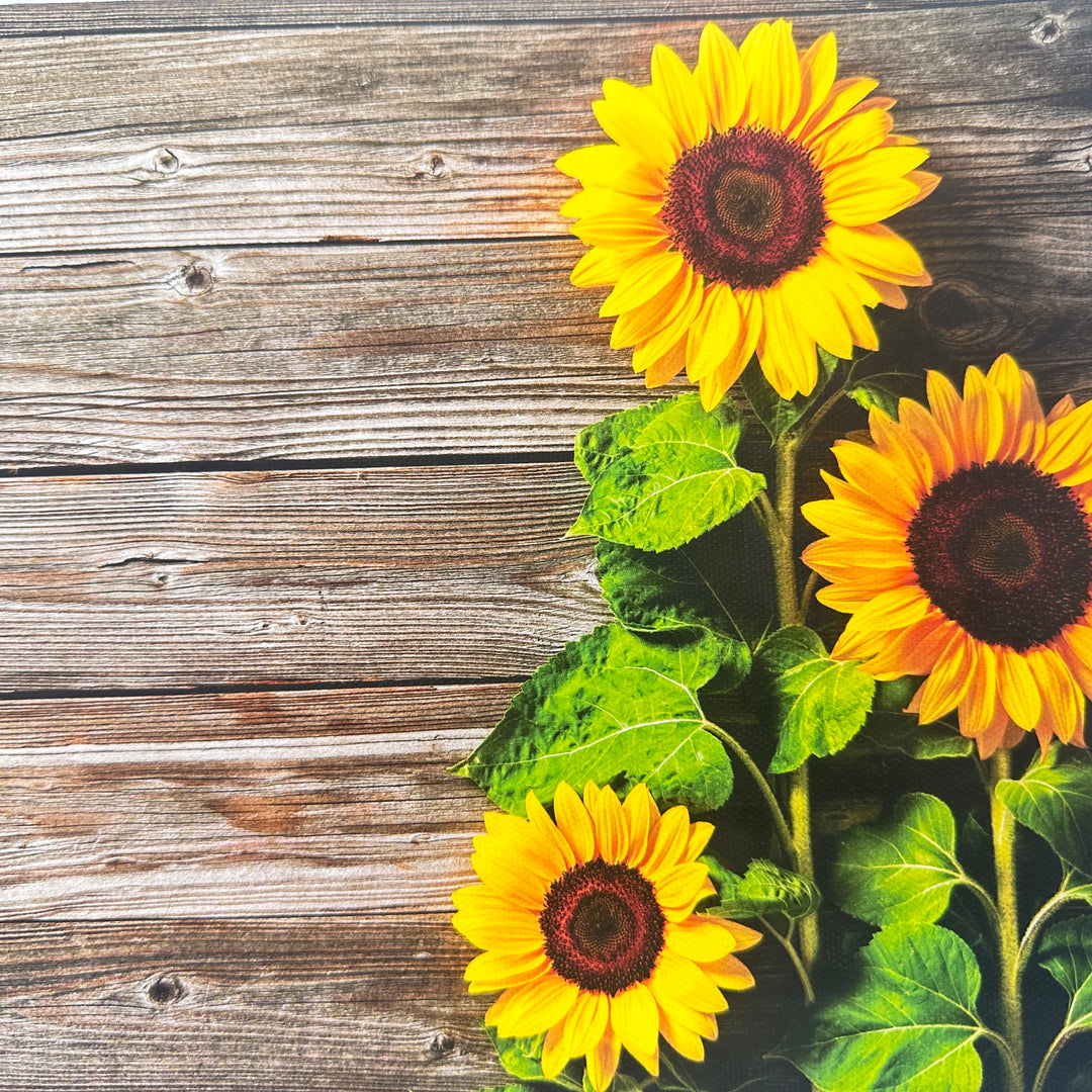 Stand Tall Sunflower Wooden Effect Canvas Photography Background