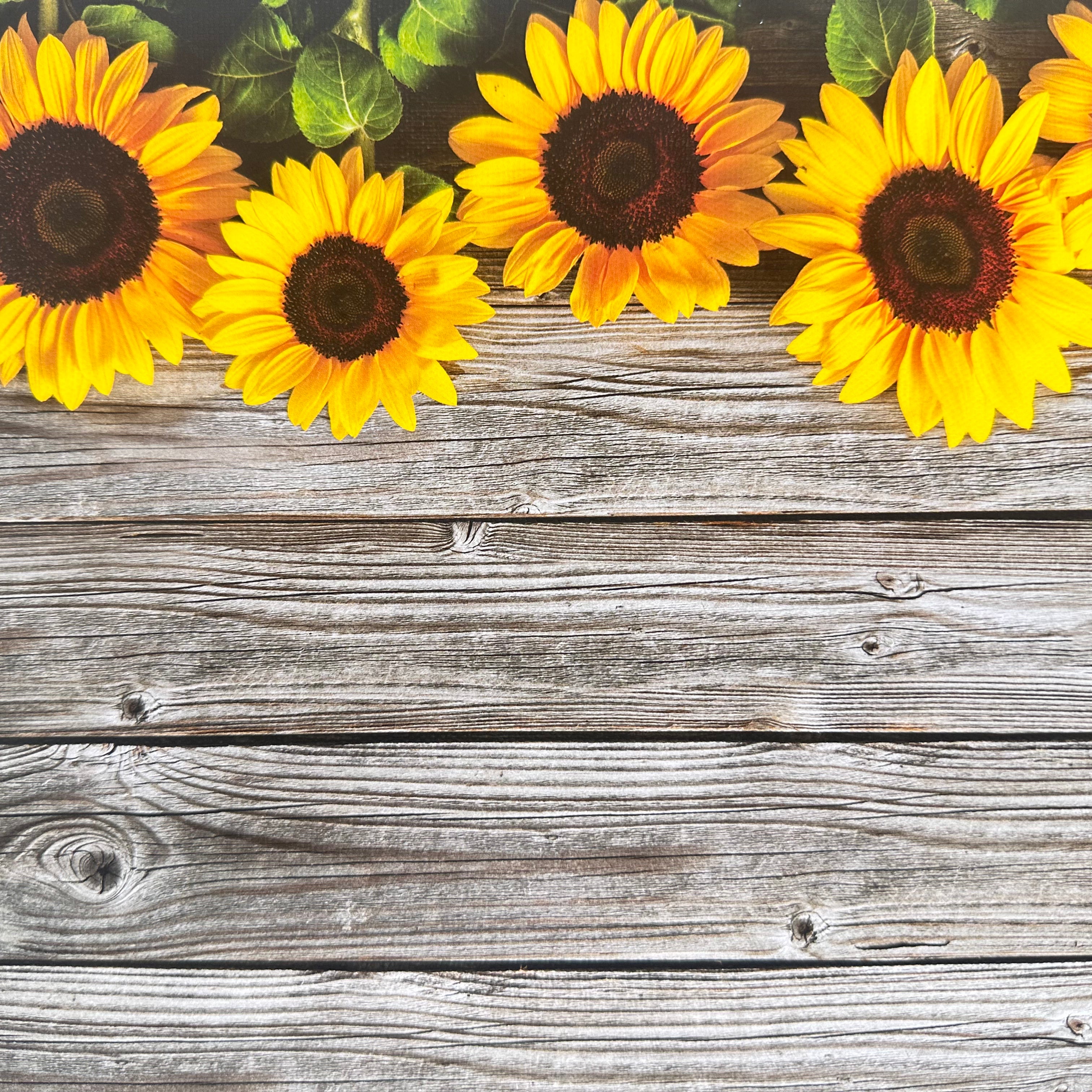 Sunflowers Wooden Effect Canvas Photography Background