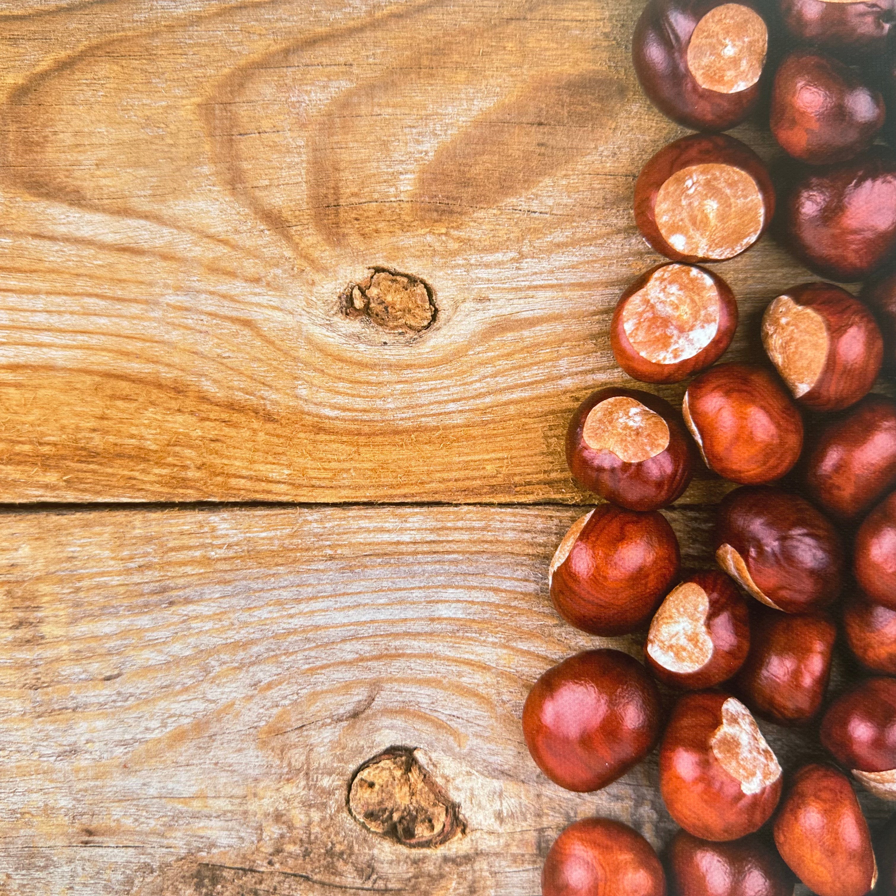 Conkers Wooden Effect Canvas Photography Background