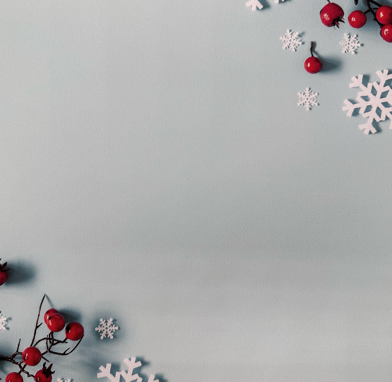 Festive Berries Canvas Photography Background