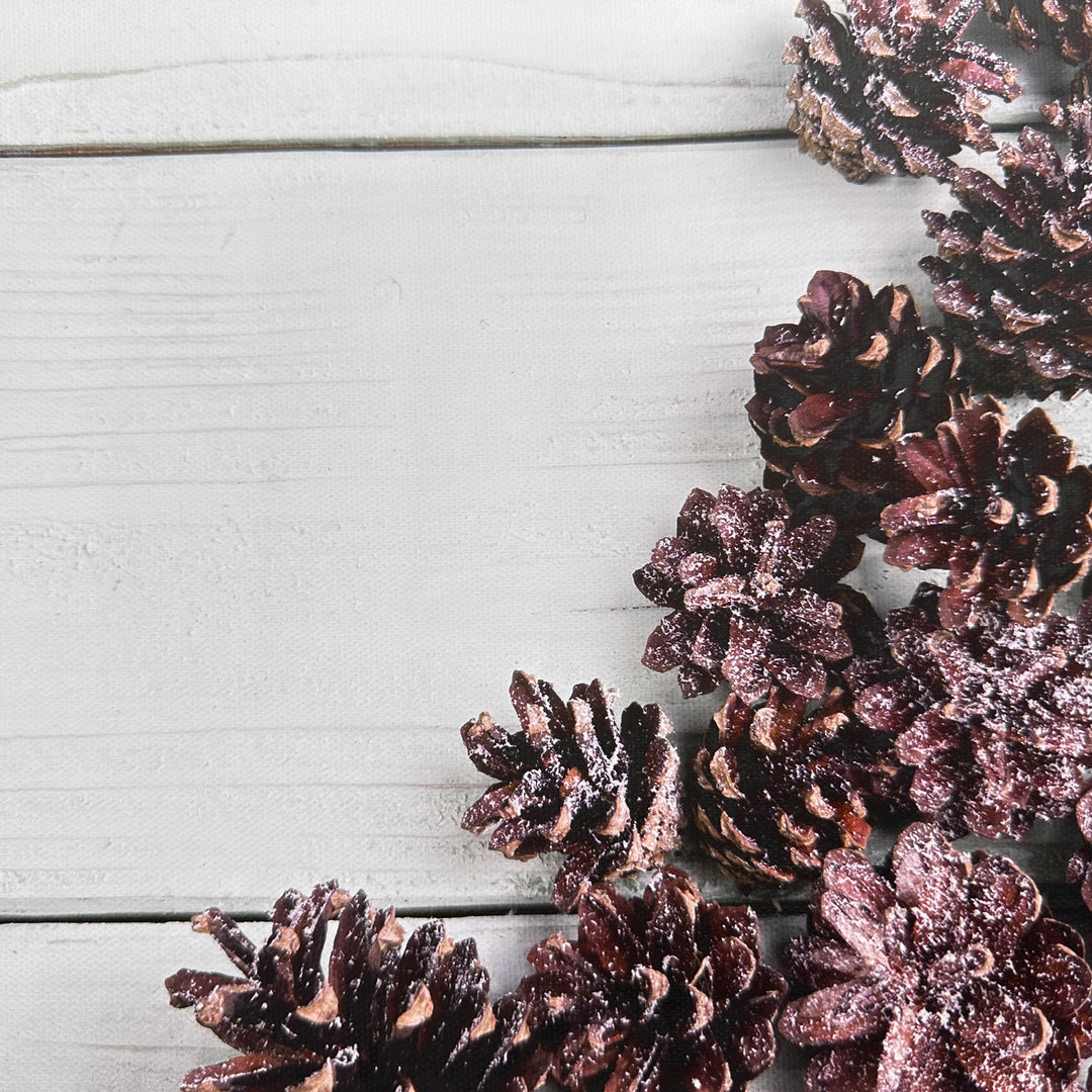 Snowy Pine Cones Wooden Canvas Photography Background