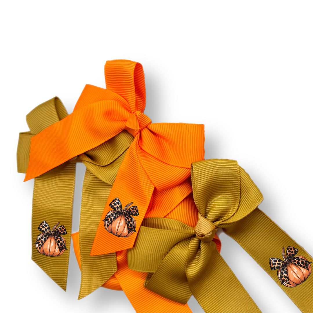 Leopard Pumpkin Bow DTF Mini Transfers for Ribbon Bows