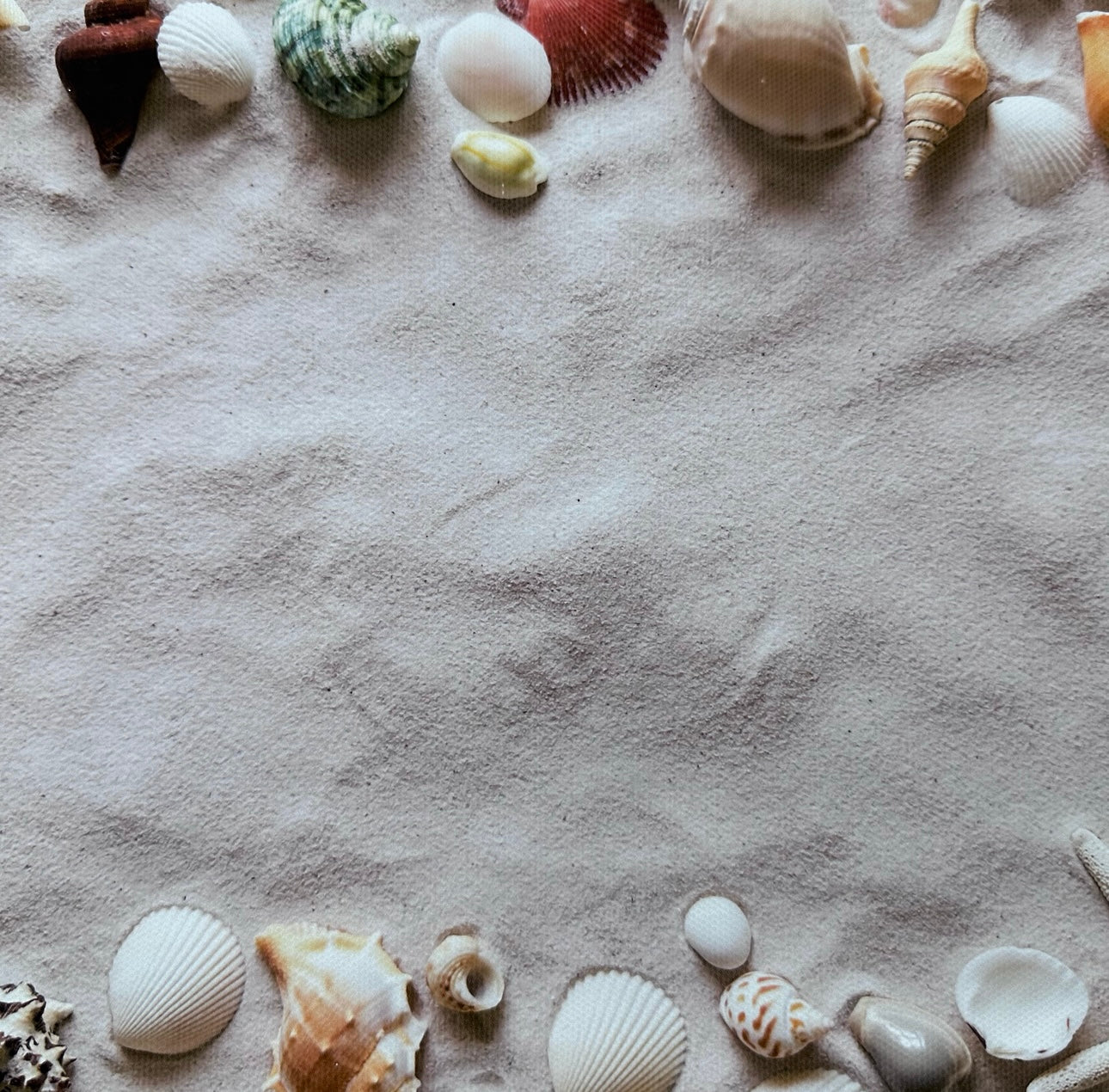 Sandy Beach Shells Canvas Photography Background