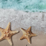 Sandy Beach Stars Canvas Photography Background