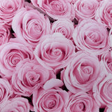 Soft Pink Roses Flower Wall Effect Canvas Photography Background