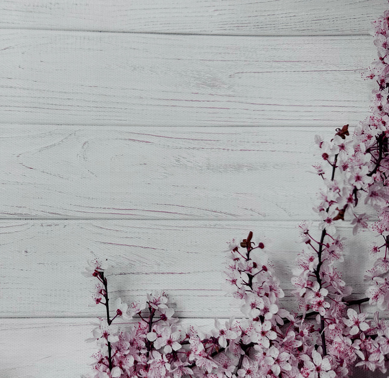 Fruit Tree Floral Wooden Canvas Photography Background