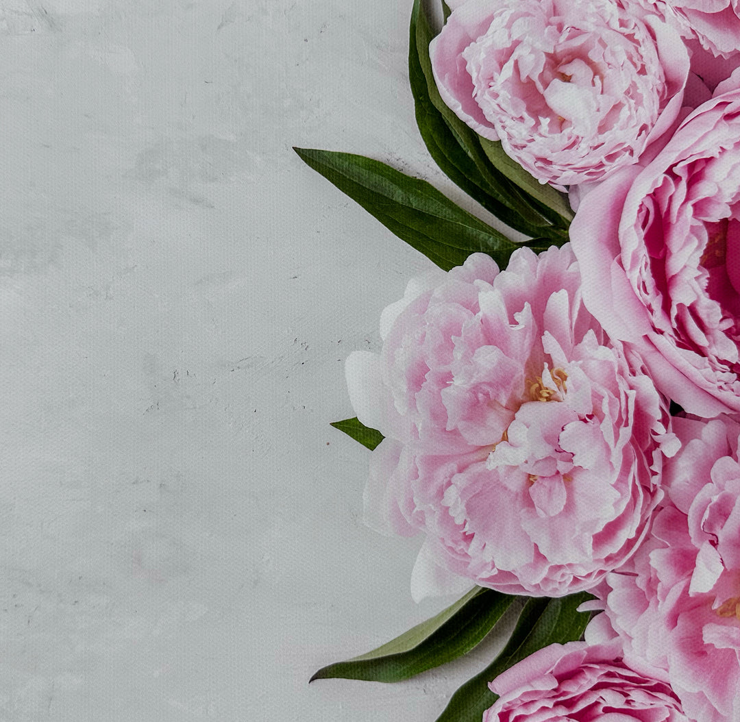 Pink Peony Floral Wooden Canvas Photography Background