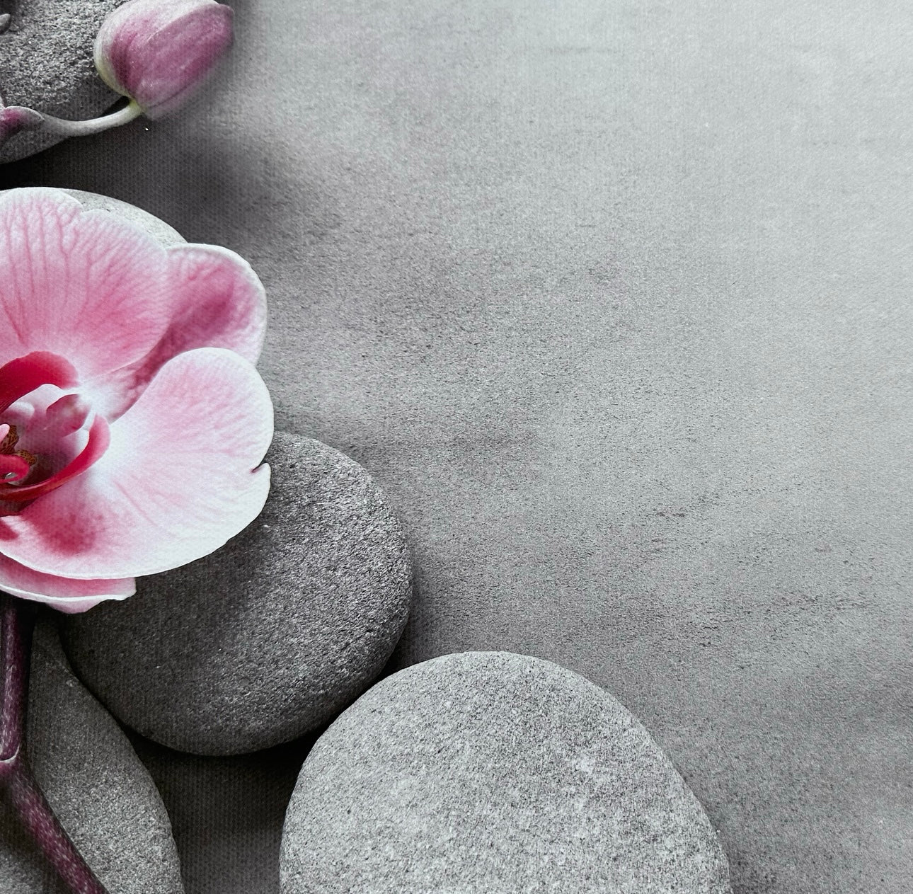 Orchard Pink & Grey Spa Stones Floral Wooden Canvas Photography Background