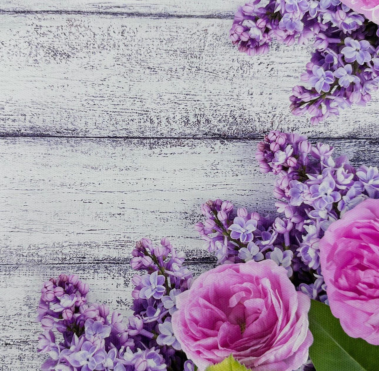 Lilac & Pink Rose Floral Wooden Canvas Photography Background