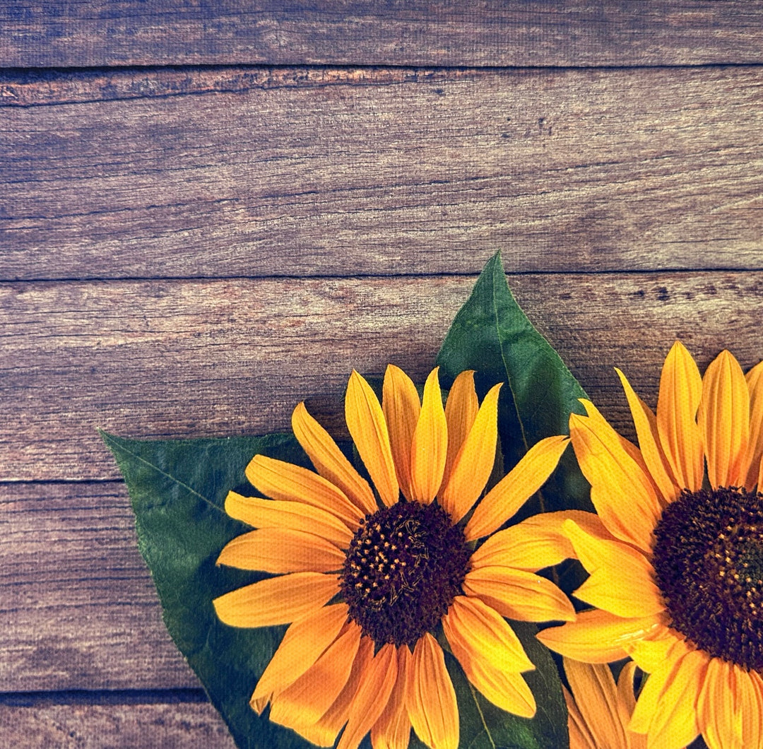 Sunflowers Dark Wooden Canvas Photography Background