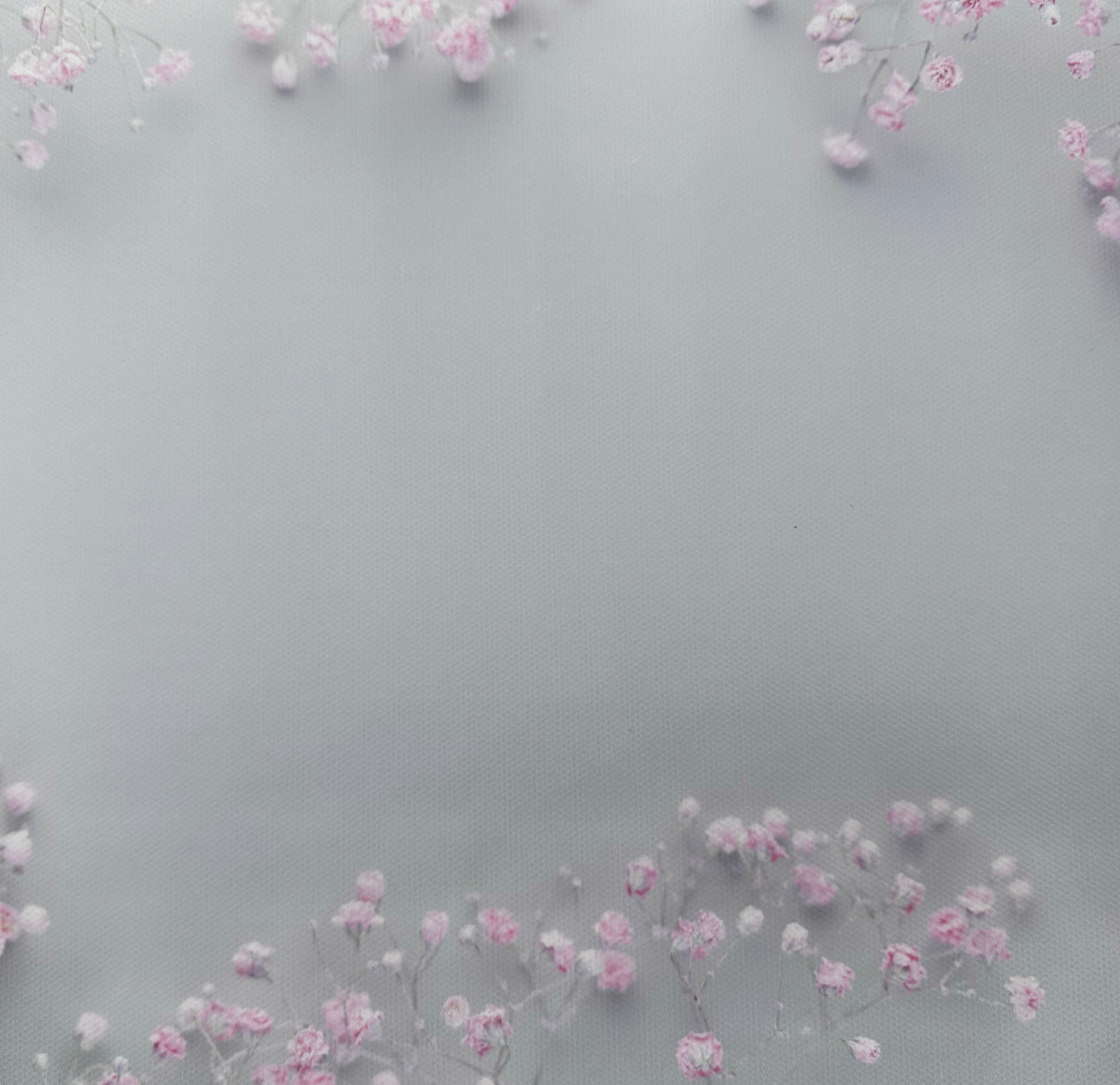 Subtle pink blossoms Canvas Photography Background