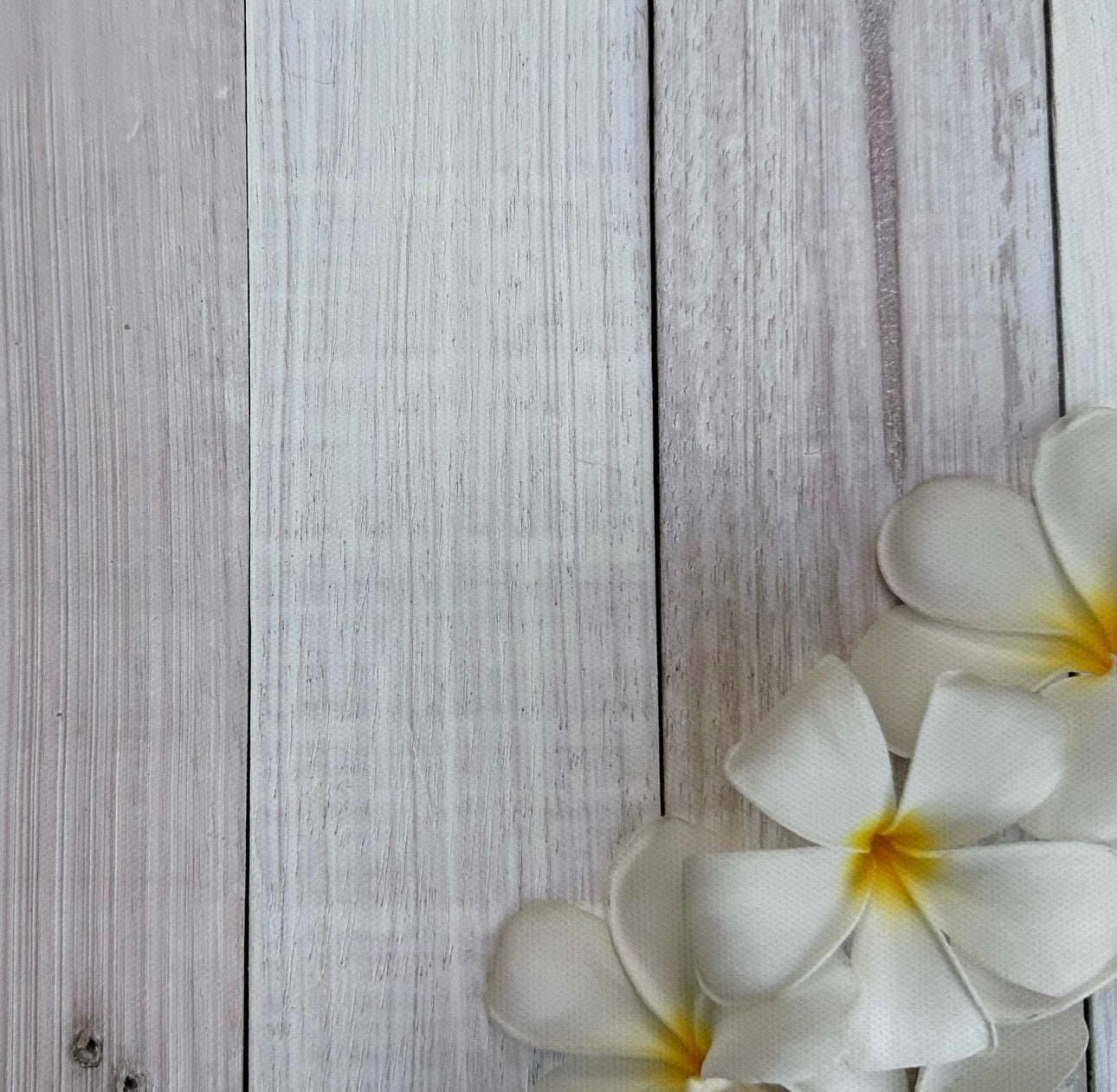 White Blooms Wooden Canvas Photography Background
