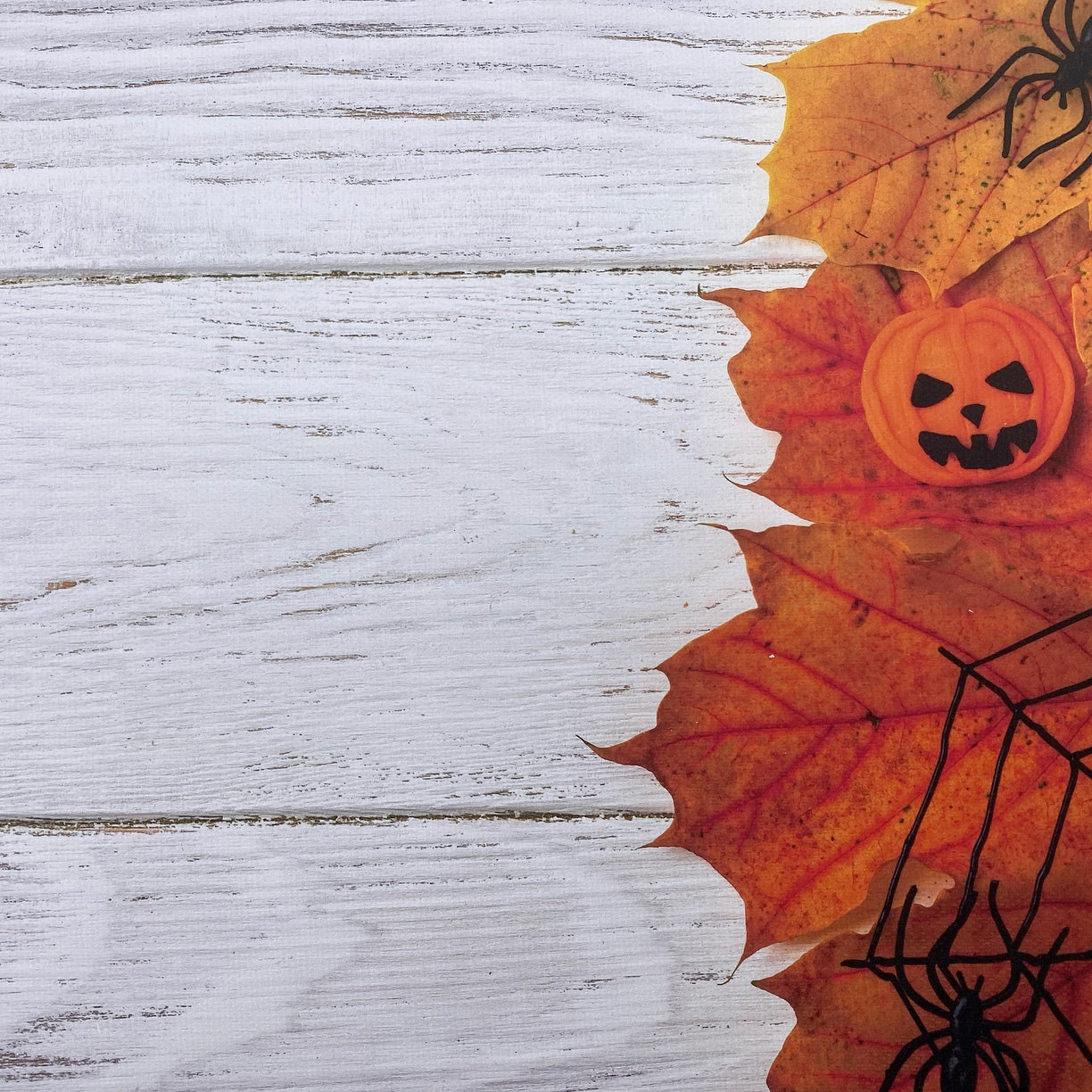 Halloween Wood Canvas Photography Background