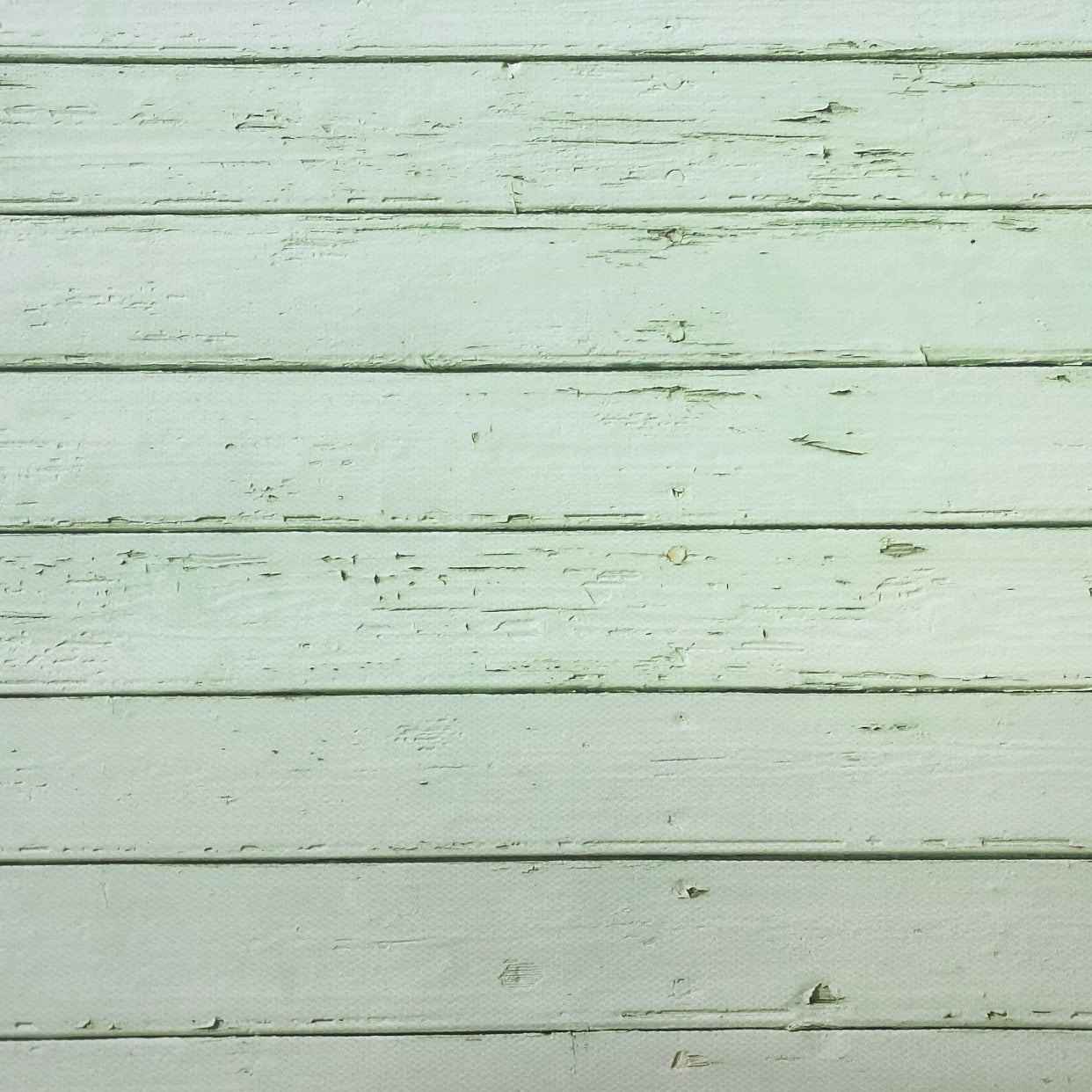 Mint Wood Canvas Photography Background