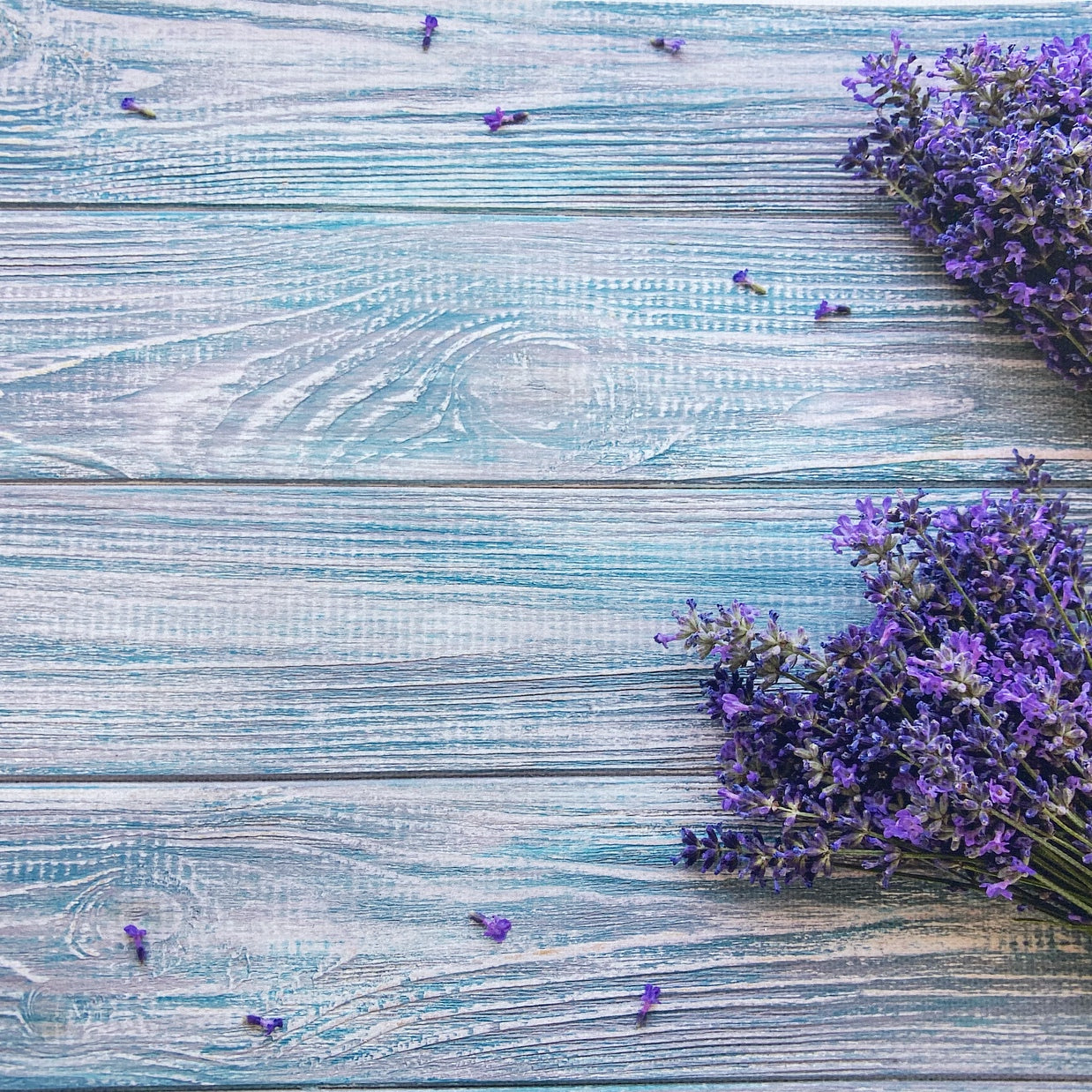 Lavender Bunches Wooden Canvas Photography Background