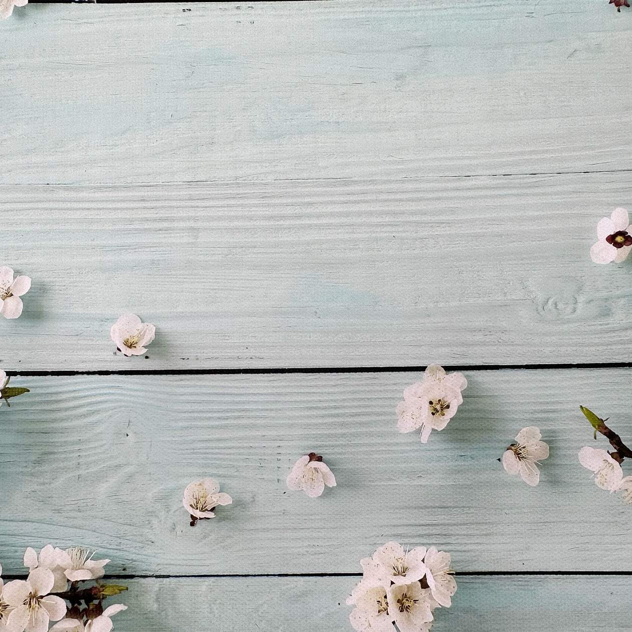 Mint Blossoms Wooden Effect Canvas Photography Background