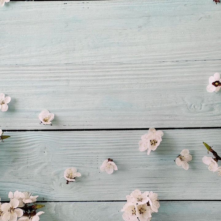 Mint Blossoms Wooden Effect Canvas Photography Background