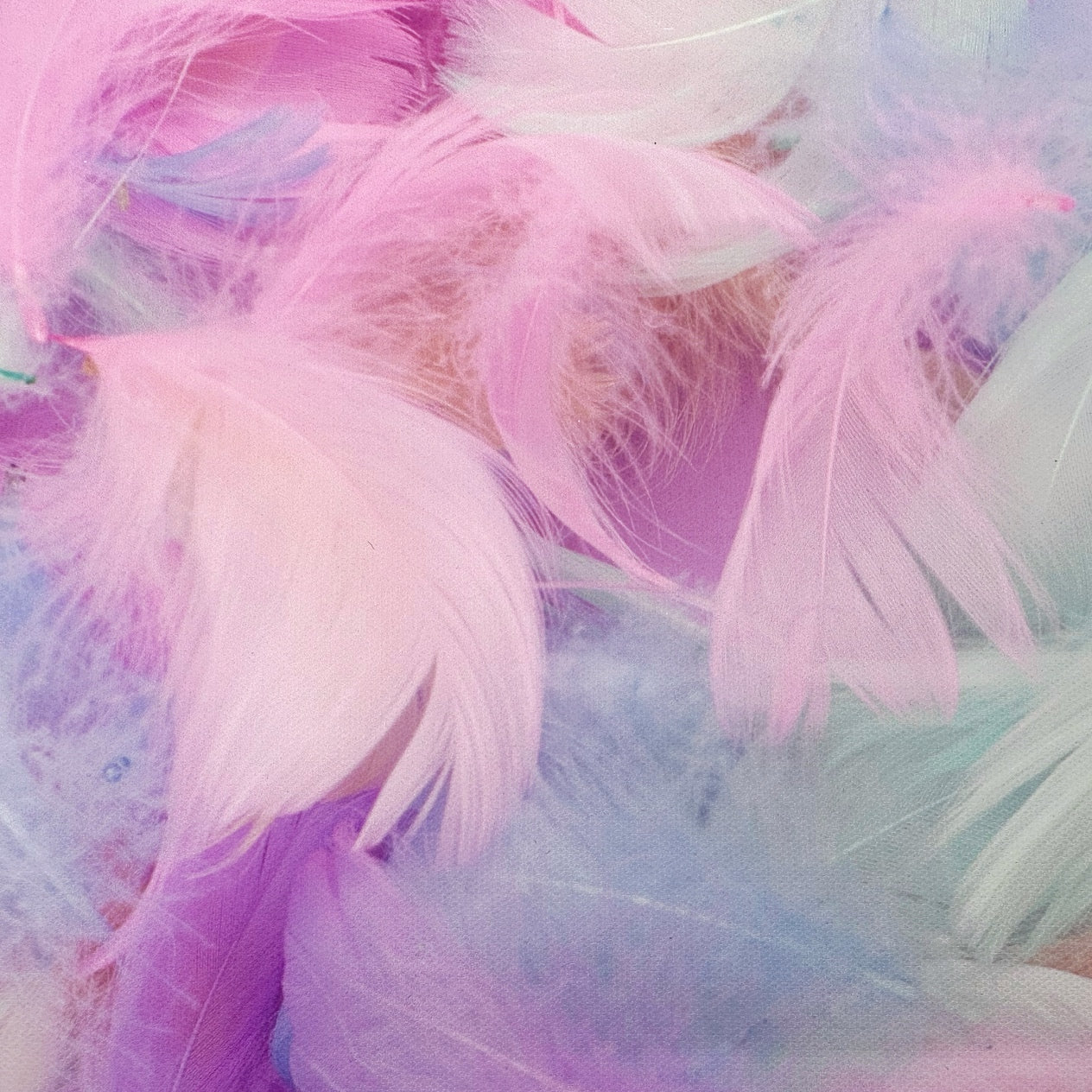 Pastel Feathers Canvas Photography Background
