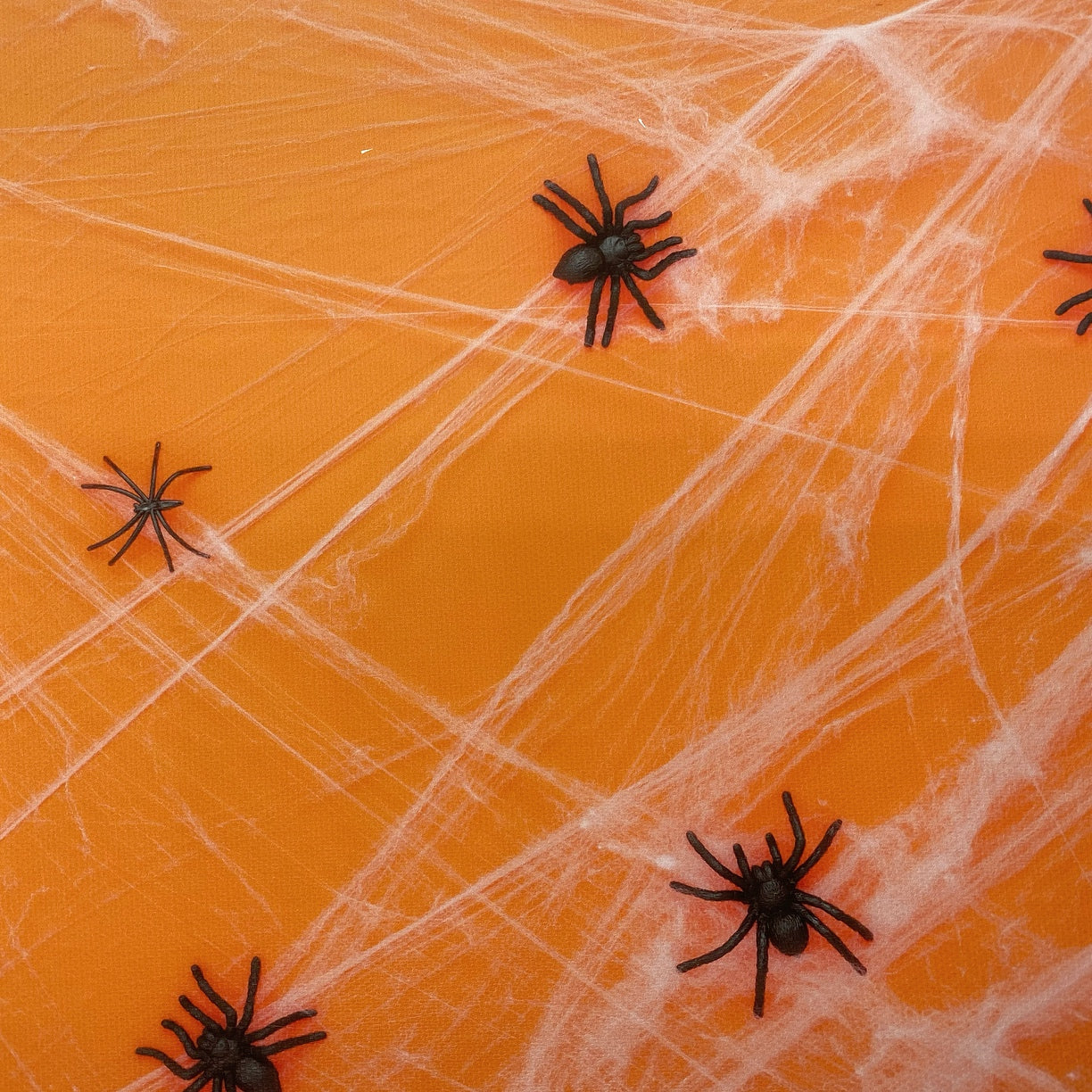 Spiders & Cobwebs Canvas Photography Background