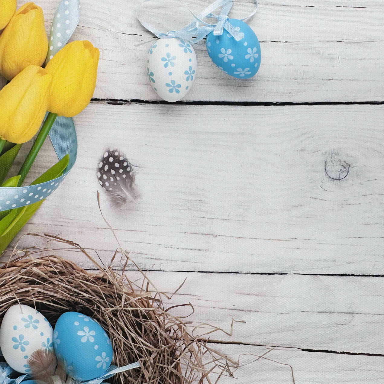 Eggs & Daffodils Canvas Photography Background