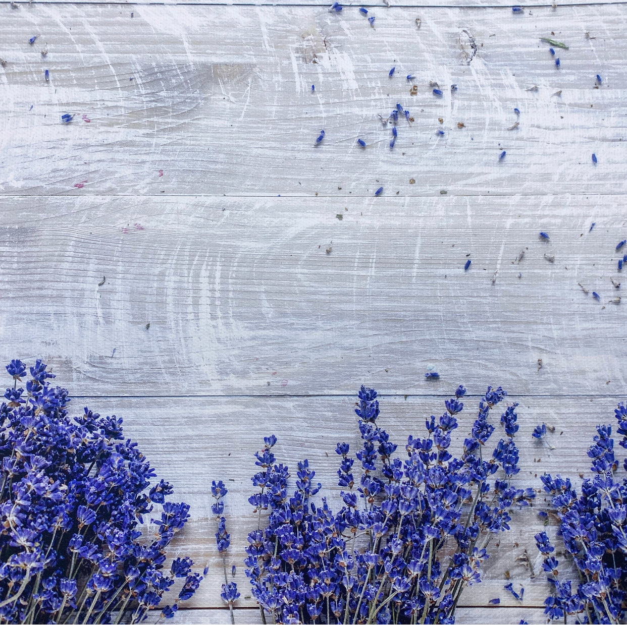 Lavender Border Wooden Canvas Photography Background