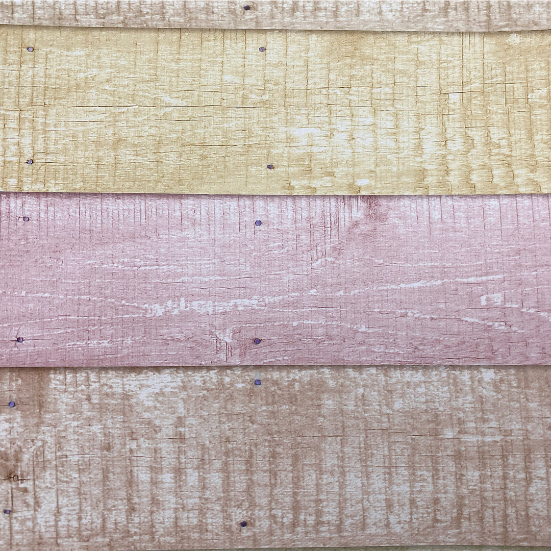 Neapolitan Ice Cream Wood Canvas Photography Background