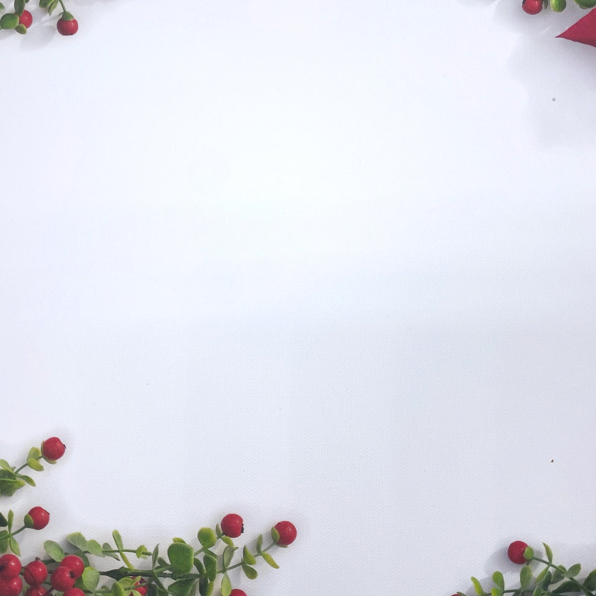 Christmas Berries Canvas Photography Background