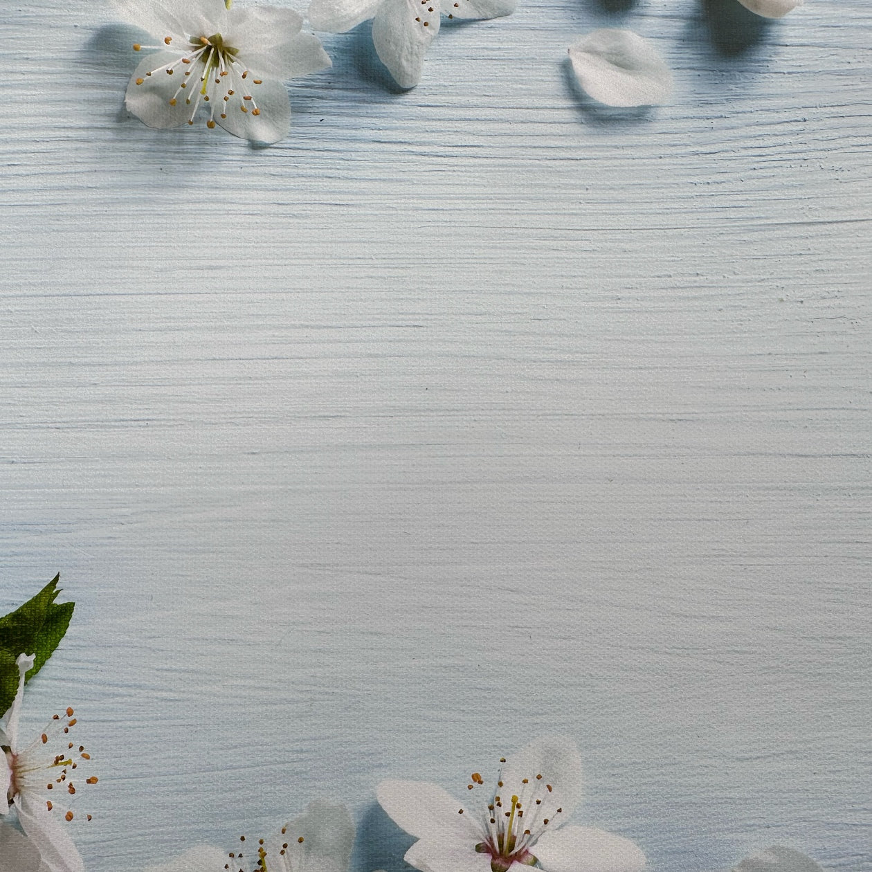 Lillies Pale Blue Wooden Effect Canvas Photography Background